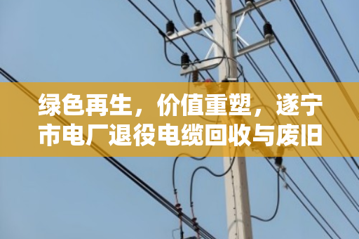 绿色再生,价值重塑,遂宁市电厂退役电缆回收与废旧线缆资源化利用探析 绿色再生,价值重塑,遂宁市电厂退役电缆回收与废旧线缆资源化利用探析