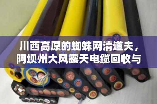 川西高原的蜘蛛网清道夫,阿坝州大风露天电缆回收与户外架空线缆拆除纪实 川西高原的蜘蛛网清道夫,阿坝州大风露天电缆回收与户外架空线缆拆除纪实
