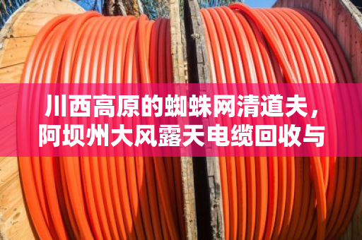 川西高原的蜘蛛网清道夫，阿坝州大风露天电缆回收与户外架空线缆拆除纪实