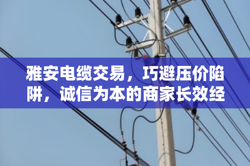 雅安电缆交易,巧避压价陷阱,诚信为本的商家长效经营指南 雅安电缆交易,巧避压价陷阱,诚信为本的商家长效经营指南
