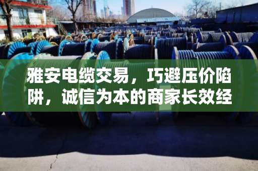 雅安电缆交易,巧避压价陷阱,诚信为本的商家长效经营指南 雅安电缆交易,巧避压价陷阱,诚信为本的商家长效经营指南
