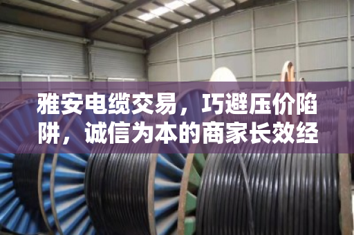 雅安电缆交易，巧避压价陷阱，诚信为本的商家长效经营指南