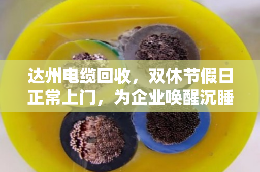 达州电缆回收,双休节假日正常上门,为企业唤醒沉睡资产 达州电缆回收,双休节假日正常上门,为企业唤醒沉睡资产