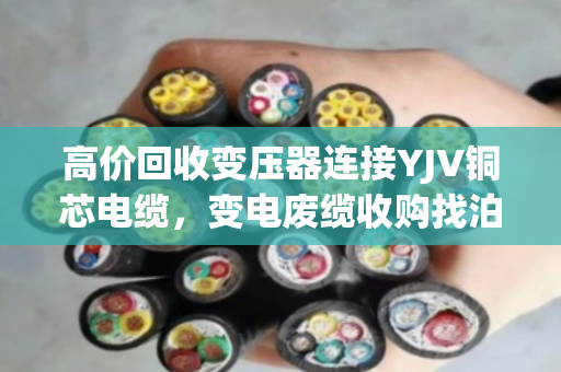 高价回收变压器连接YJV铜芯电缆,变电废缆收购找泊祎回收,省心又赚钱 高价回收变压器连接YJV铜芯电缆,变电废缆收购找泊祎回收,省心又赚钱