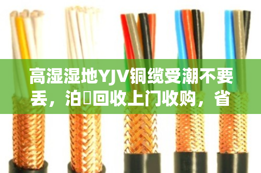 高湿湿地YJV铜缆受潮不要丢,泊祎回收上门收购,省心又划算 高湿湿地YJV铜缆受潮不要丢,泊祎回收上门收购,省心又划算
