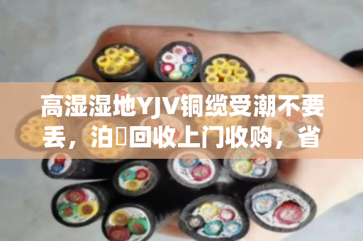 高湿湿地YJV铜缆受潮不要丢,泊祎回收上门收购,省心又划算 高湿湿地YJV铜缆受潮不要丢,泊祎回收上门收购,省心又划算