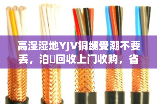 高湿湿地YJV铜缆受潮不要丢，泊祎回收上门收购，省心又划算