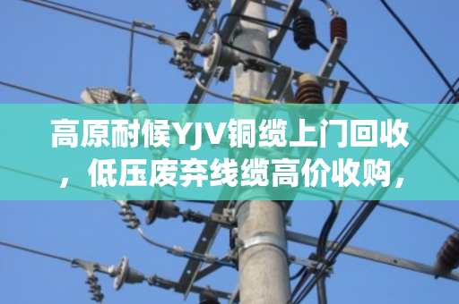 高原耐候YJV铜缆上门回收,低压废弃线缆高价收购,就找泊祎回收 高原耐候YJV铜缆上门回收,低压废弃线缆高价收购,就找泊祎回收