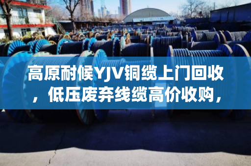 高原耐候YJV铜缆上门回收,低压废弃线缆高价收购,就找泊祎回收 高原耐候YJV铜缆上门回收,低压废弃线缆高价收购,就找泊祎回收