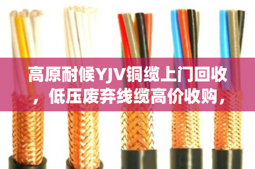 高原耐候YJV铜缆上门回收，低压废弃线缆高价收购，就找泊祎回收