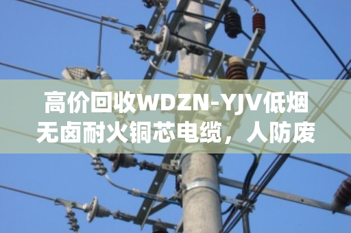 高价回收WDZN-YJV低烟无卤耐火铜芯电缆，人防废缆资源化处理新选择