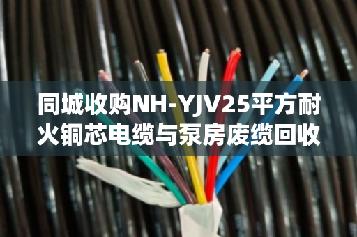 同城收购NH-YJV25平方耐火铜芯电缆与泵房废缆回收,专业服务助力资源再利用 同城收购NH-YJV25平方耐火铜芯电缆与泵房废缆回收,专业服务助力资源再利用