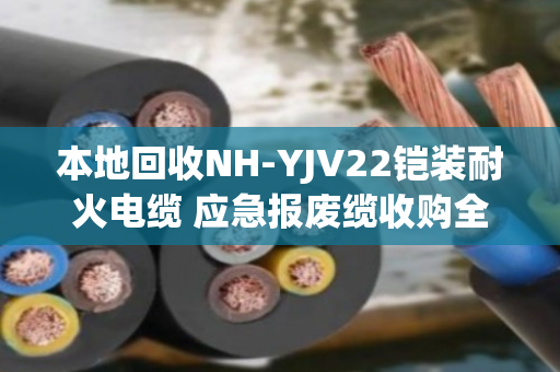 本地回收NH-YJV22铠装耐火电缆 应急报废缆收购全攻略 本地回收NH-YJV22铠装耐火电缆 应急报废缆收购全攻略