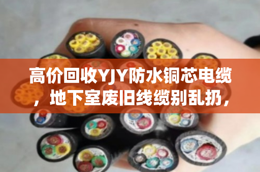 高价回收YJY防水铜芯电缆，地下室废旧线缆别乱扔，找泊祎回收省心又赚钱