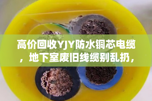 高价回收YJY防水铜芯电缆，地下室废旧线缆别乱扔，找泊祎回收省心又赚钱