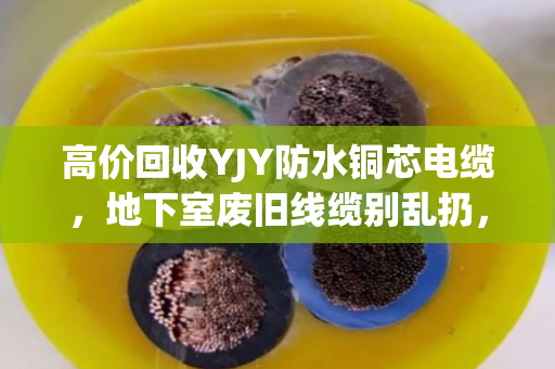 高价回收YJY防水铜芯电缆，地下室废旧线缆别乱扔，找泊祎回收省心又赚钱