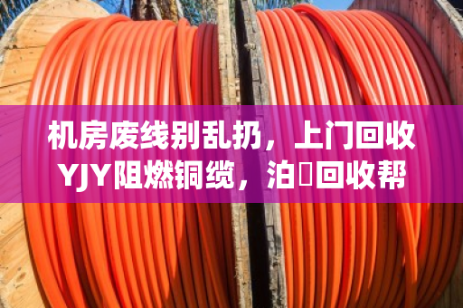 机房废线别乱扔,上门回收YJY阻燃铜缆,泊祎回收帮你省钱省心 机房废线别乱扔,上门回收YJY阻燃铜缆,泊祎回收帮你省钱省心