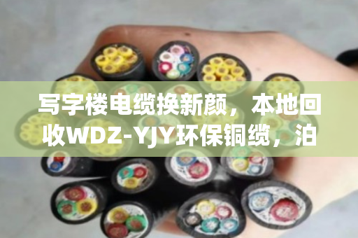 写字楼电缆换新颜,本地回收WDZ-YJY环保铜缆,泊祎回收让废旧电缆变废为宝 写字楼电缆换新颜,本地回收WDZ-YJY环保铜缆,泊祎回收让废旧电缆变废为宝