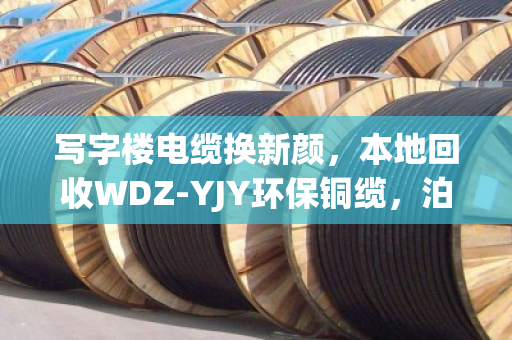 写字楼电缆换新颜,本地回收WDZ-YJY环保铜缆,泊祎回收让废旧电缆变废为宝 写字楼电缆换新颜,本地回收WDZ-YJY环保铜缆,泊祎回收让废旧电缆变废为宝