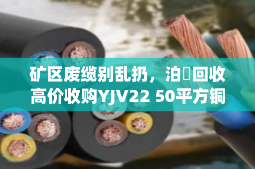 矿区废缆别乱扔,泊祎回收高价收购YJV22 50平方铜芯电缆,一块赚一笔 矿区废缆别乱扔,泊祎回收高价收购YJV22 50平方铜芯电缆,一块赚一笔