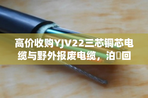 高价收购YJV22三芯铜芯电缆与野外报废电缆，泊祎回收让废旧重获价值