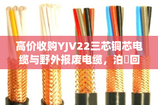 高价收购YJV22三芯铜芯电缆与野外报废电缆，泊祎回收让废旧重获价值