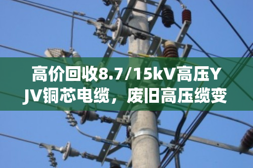 高价回收8.7/15kV高压YJV铜芯电缆，废旧高压缆变现找泊祎回收