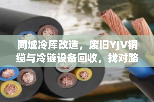 同城冷库改造,废旧YJV铜缆与冷链设备回收,找对路子省钱又省心 同城冷库改造,废旧YJV铜缆与冷链设备回收,找对路子省钱又省心