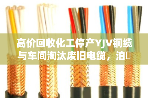 高价回收化工停产YJV铜缆与车间淘汰废旧电缆,泊祎回收让资源重生 高价回收化工停产YJV铜缆与车间淘汰废旧电缆,泊祎回收让资源重生