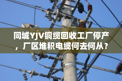 同城YJV铜缆回收工厂停产，厂区堆积电缆何去何从？泊祎回收上门清运解难题
