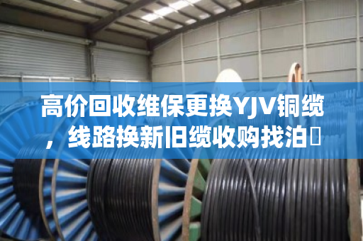 高价回收维保更换YJV铜缆,线路换新旧缆收购找泊祎回收,省心又划算 高价回收维保更换YJV铜缆,线路换新旧缆收购找泊祎回收,省心又划算