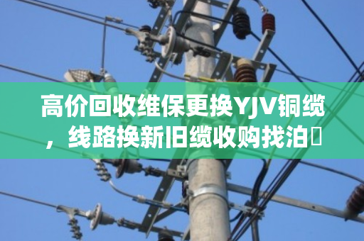 高价回收维保更换YJV铜缆,线路换新旧缆收购找泊祎回收,省心又划算 高价回收维保更换YJV铜缆,线路换新旧缆收购找泊祎回收,省心又划算