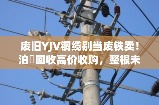 废旧YJV铜缆别当废铁卖！泊祎回收高价收购，整根未剥皮也能卖大钱