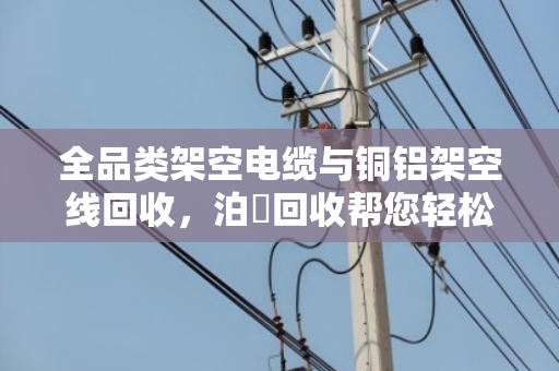 全品类架空电缆与铜铝架空线回收,泊祎回收帮您轻松变现 全品类架空电缆与铜铝架空线回收,泊祎回收帮您轻松变现