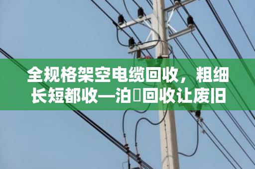 全规格架空电缆回收,粗细长短都收—泊祎回收让废旧线缆变废为宝 全规格架空电缆回收,粗细长短都收—泊祎回收让废旧线缆变废为宝