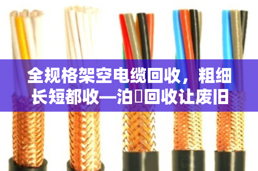 全规格架空电缆回收,粗细长短都收—泊祎回收让废旧线缆变废为宝 全规格架空电缆回收,粗细长短都收—泊祎回收让废旧线缆变废为宝