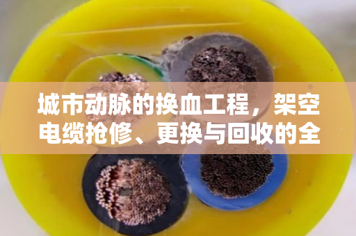 城市动脉的换血工程，架空电缆抢修、更换与回收的全流程纪实