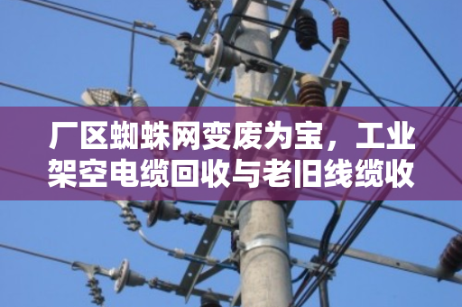 厂区蜘蛛网变废为宝，工业架空电缆回收与老旧线缆收购全攻略