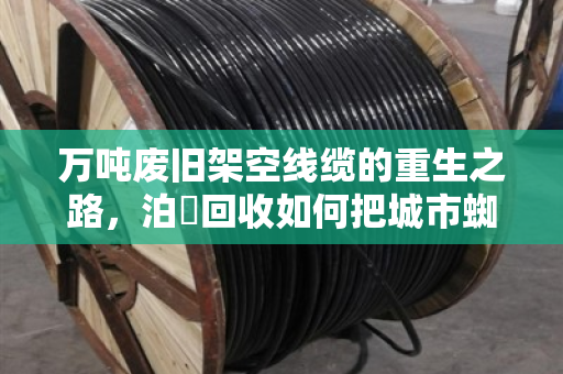 万吨废旧架空线缆的重生之路,泊祎回收如何把城市蜘蛛网变资源 万吨废旧架空线缆的重生之路,泊祎回收如何把城市蜘蛛网变资源