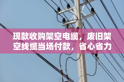 现款收购架空电缆,废旧架空线缆当场付款,省心省力就找泊祎回收 现款收购架空电缆,废旧架空线缆当场付款,省心省力就找泊祎回收