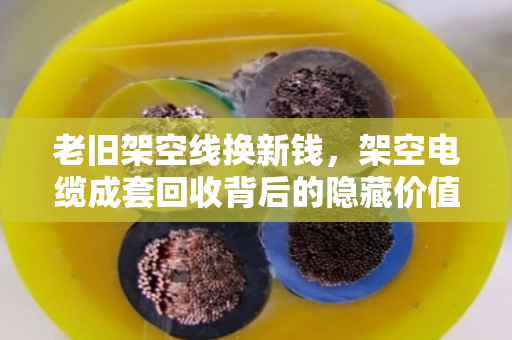 老旧架空线换新钱,架空电缆成套回收背后的隐藏价值与市场真相 老旧架空线换新钱,架空电缆成套回收背后的隐藏价值与市场真相