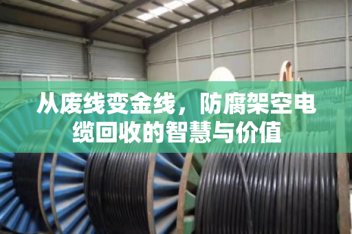 从废线变金线,防腐架空电缆回收的智慧与价值 从废线变金线,防腐架空电缆回收的智慧与价值