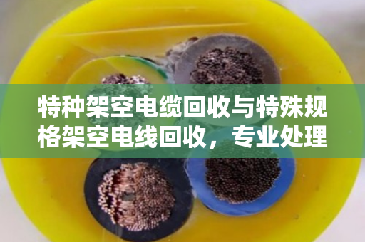 特种架空电缆回收与特殊规格架空电线回收,专业处理让废线变资源 特种架空电缆回收与特殊规格架空电线回收,专业处理让废线变资源