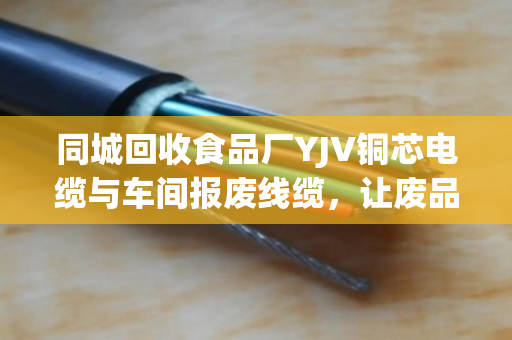 同城回收食品厂YJV铜芯电缆与车间报废线缆，让废品变现金