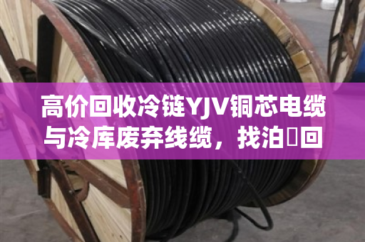高价回收冷链YJV铜芯电缆与冷库废弃线缆，找泊祎回收让废料变现金