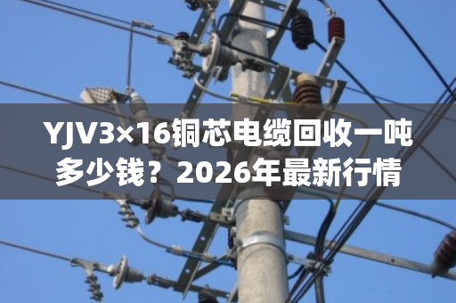 YJV3×16铜芯电缆回收一吨多少钱？2026年最新行情与交易指南