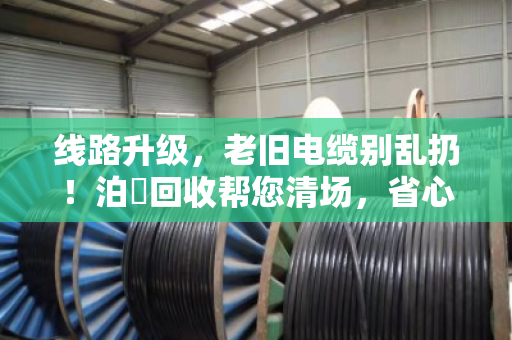 线路升级，老旧电缆别乱扔！泊祎回收帮您清场，省心又划算