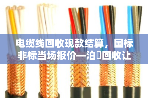 电缆线回收现款结算,国标非标当场报价—泊祎回收让废线变现金更省心 电缆线回收现款结算,国标非标当场报价—泊祎回收让废线变现金更省心
