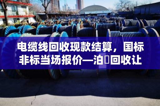 电缆线回收现款结算，国标非标当场报价—泊祎回收让废线变现金更省心
