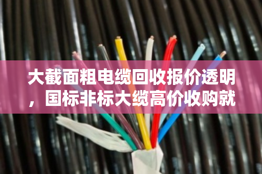 大截面粗电缆回收报价透明,国标非标大缆高价收购就找泊祎回收 大截面粗电缆回收报价透明,国标非标大缆高价收购就找泊祎回收
